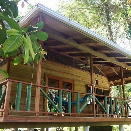 Jungle Beach 2 Bedroom Cottage Bocas Town Luaran gambar