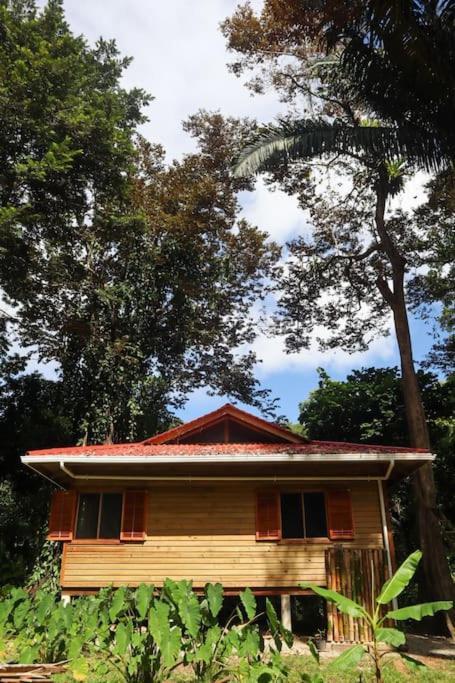 Jungle Beach 2 Bedroom Cottage Bocas Town Luaran gambar