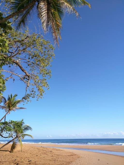 Jungle Beach 2 Bedroom Cottage Bocas Town Luaran gambar