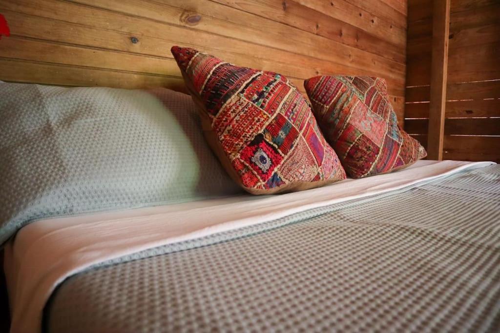 Jungle Beach 2 Bedroom Cottage Bocas Town Luaran gambar