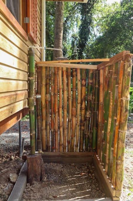Jungle Beach 2 Bedroom Cottage Bocas Town Luaran gambar